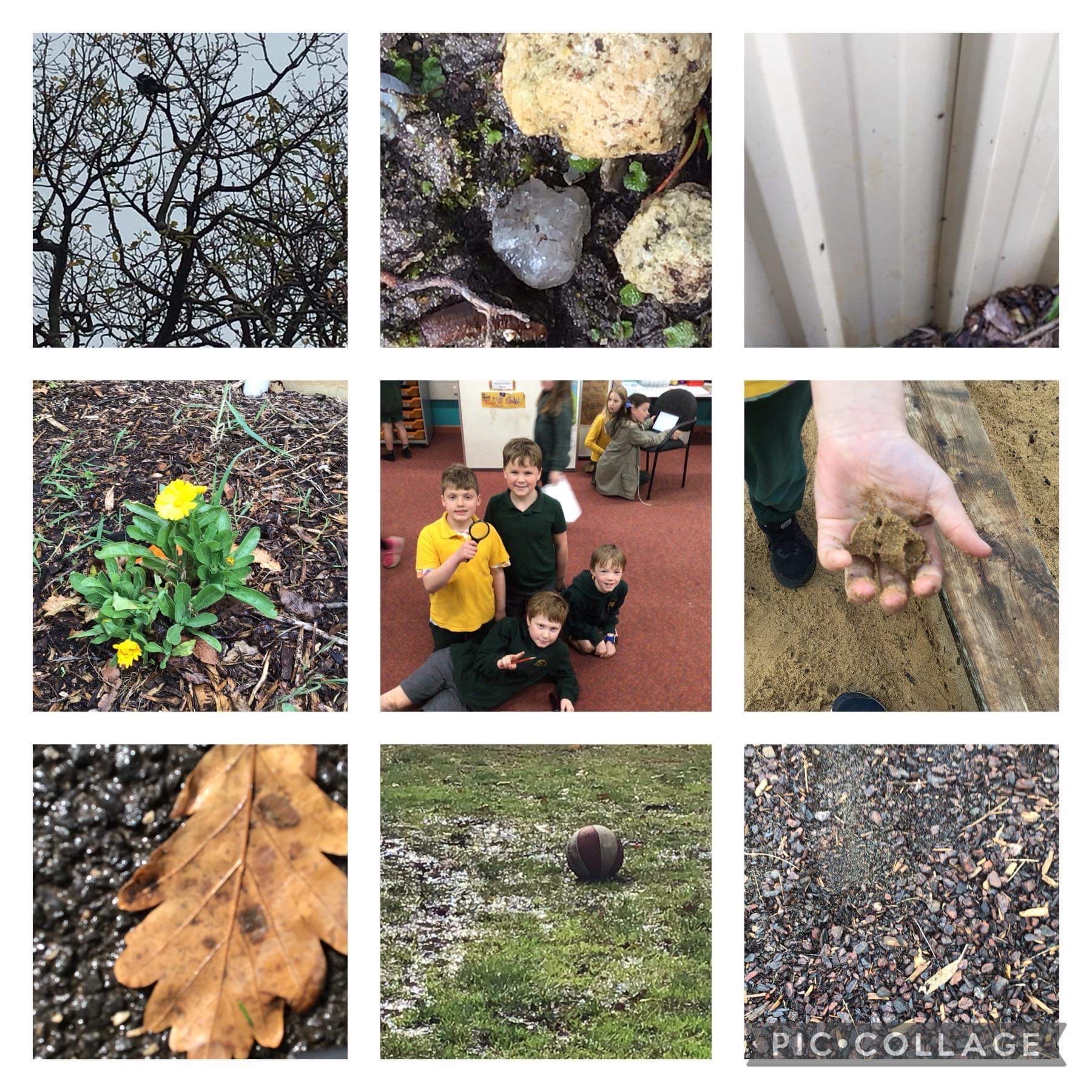 /uploaded_files/media/gallery/1661938096IMG_6174 2.JPG